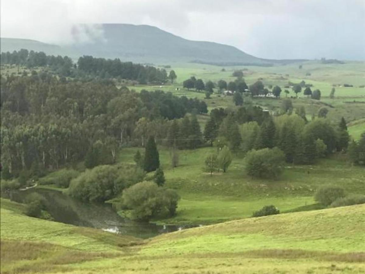 Tin Glamping Caravan * Underberg