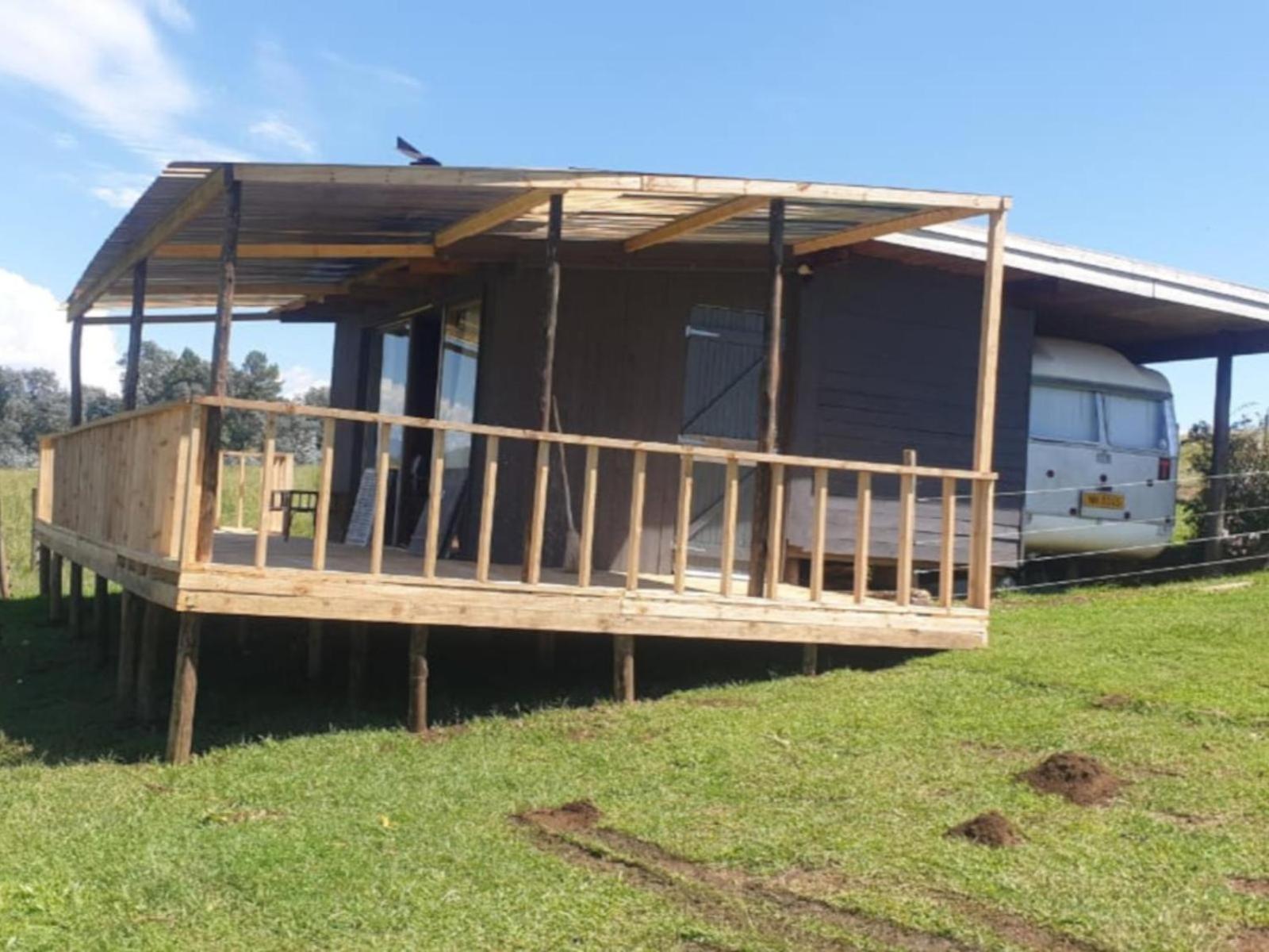 Apartment Tin Glamping Caravan *